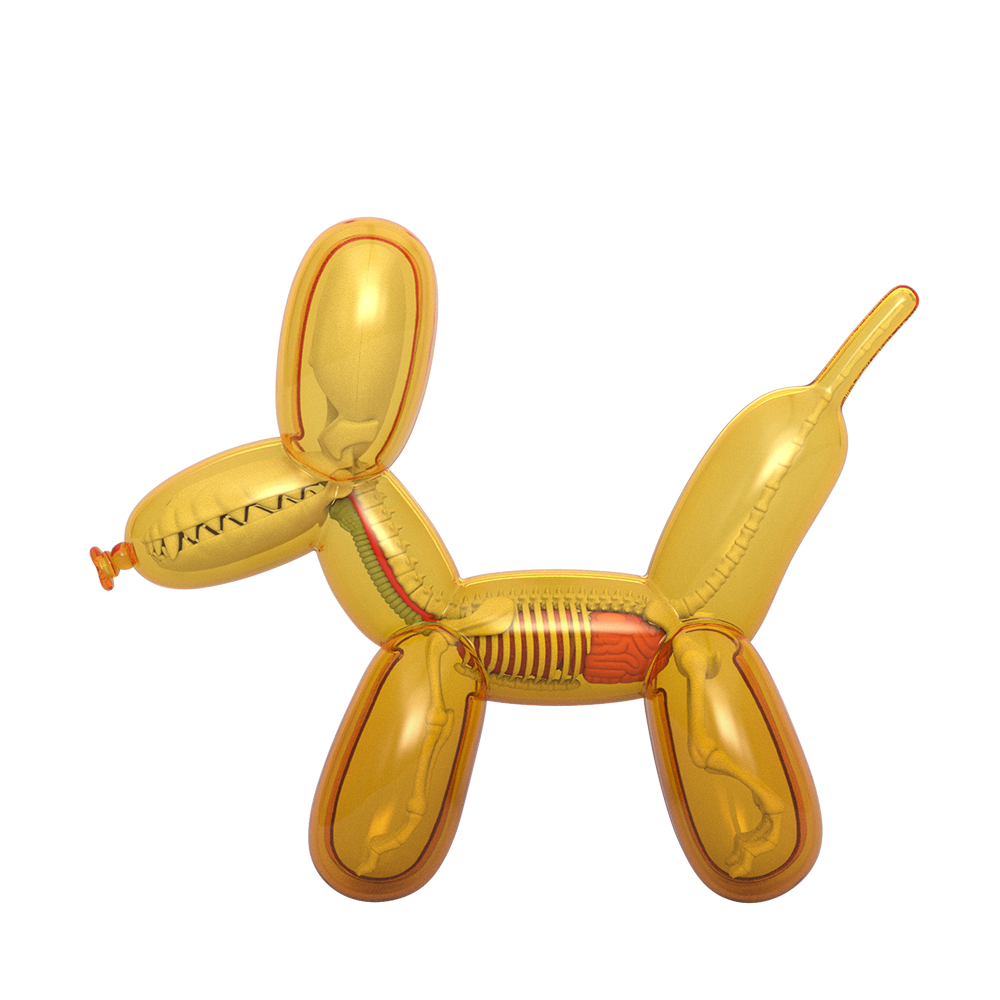 Funny Anatomy Balloon Dog (Honey Edition)