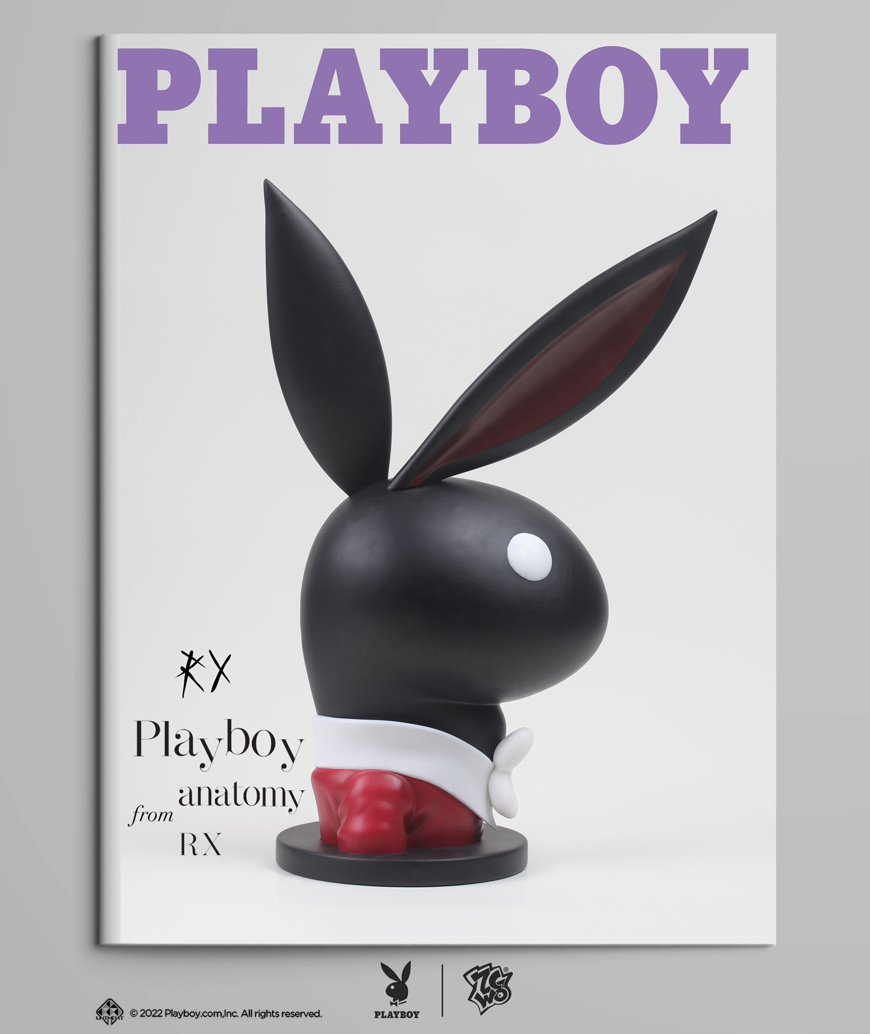 ZCWO x Playboy #1 Playboy Anatomy