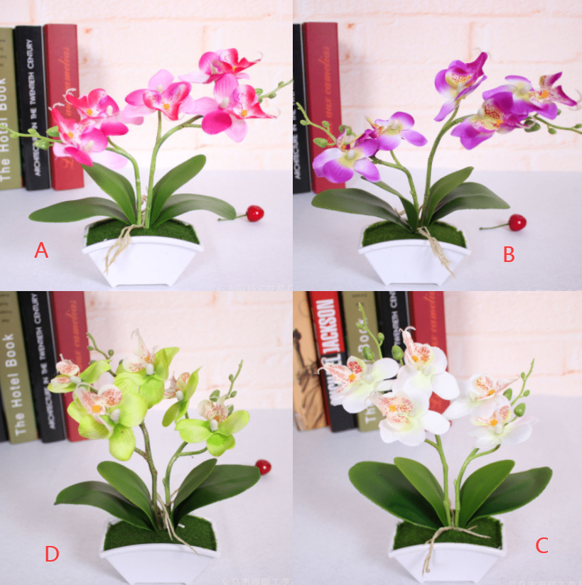 P9072    Flower+Pots