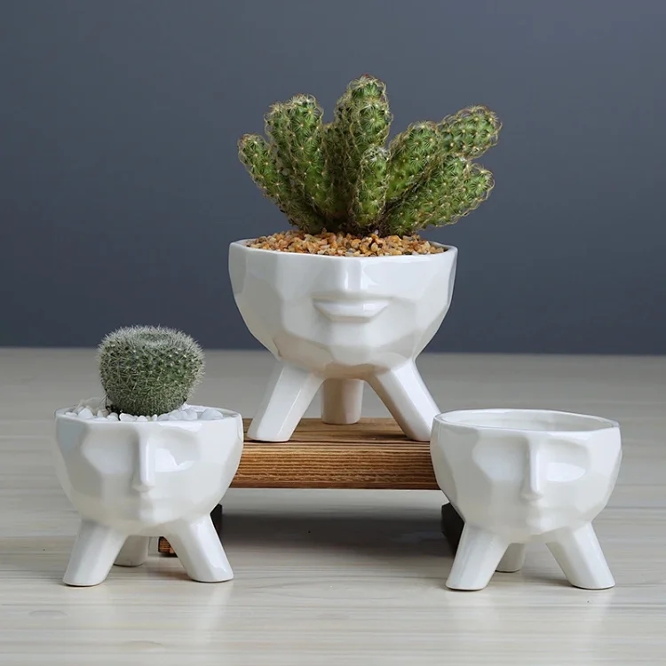 P6336 Pot without Flowers