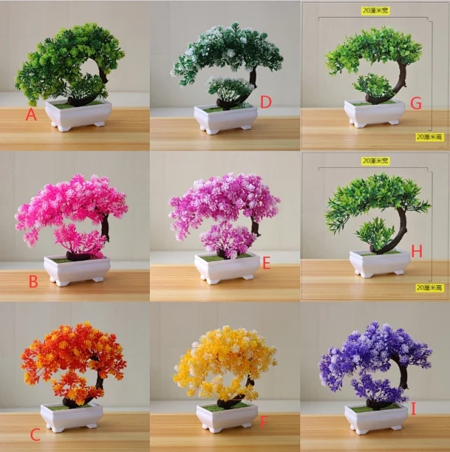 P6244 Flower+Pots
