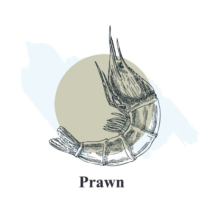Prawn