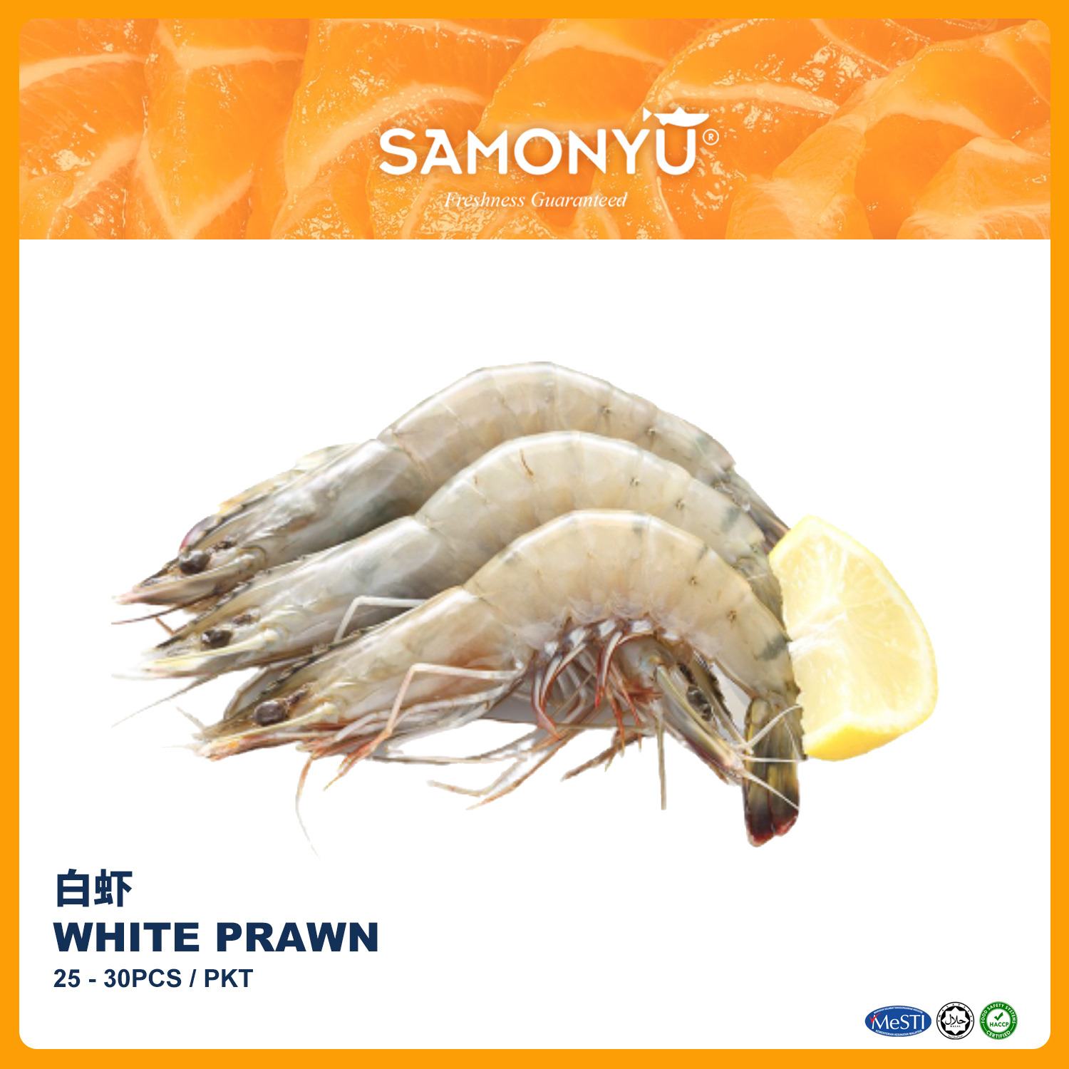 White Prawn 白虾