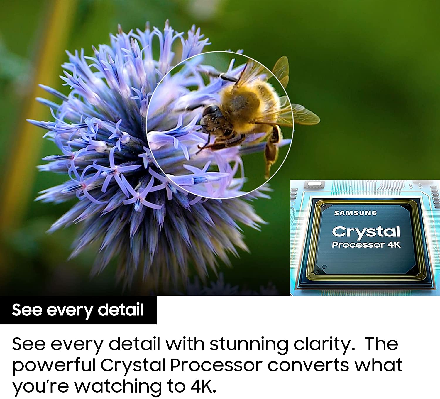 SAMSUNG Crystal UHD AU8000 Series 50AU8000 55AU8000 65AU8000 - 4K UHD HDR Smart TV 2021 MODEL-Smart-Living