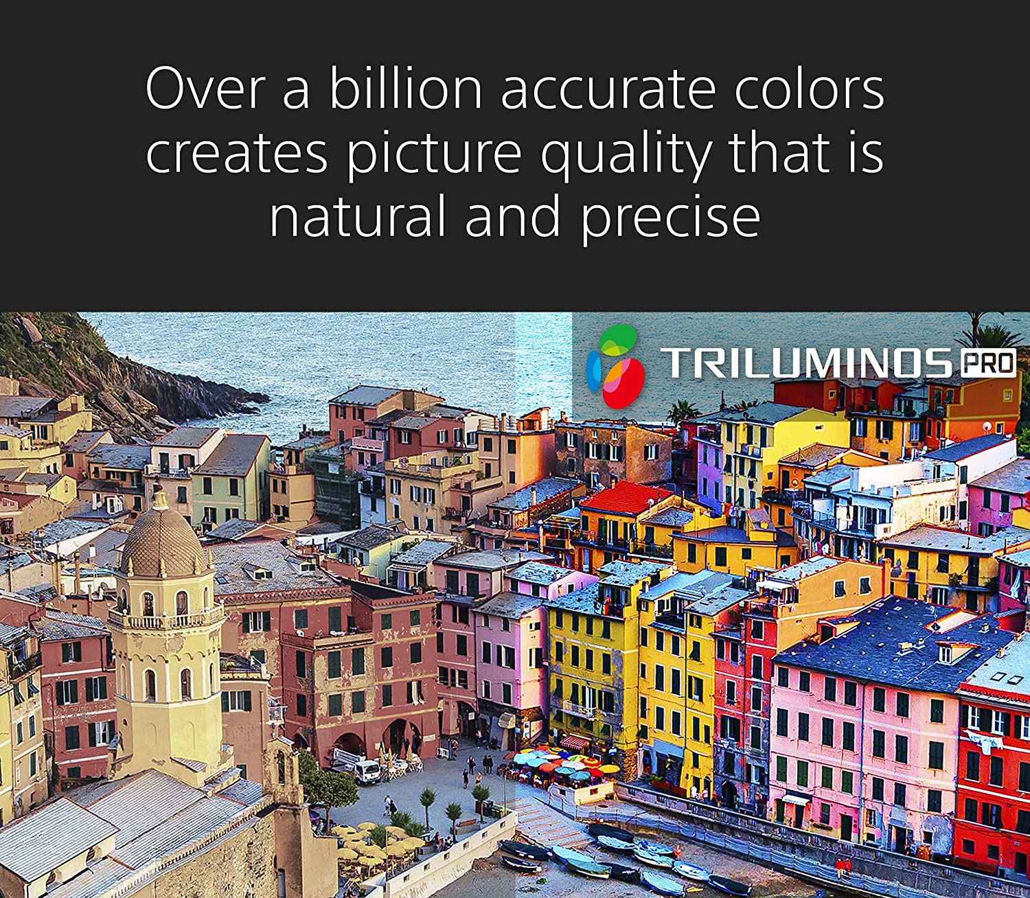 Sony 43X80K 50X80K 55X80K 65X80K 75X80K 85X80K Inch 4K Ultra HD TV X80K Series: LED Smart Google TV with Dolby Vision HDR - 2022 Model-Smart-Living