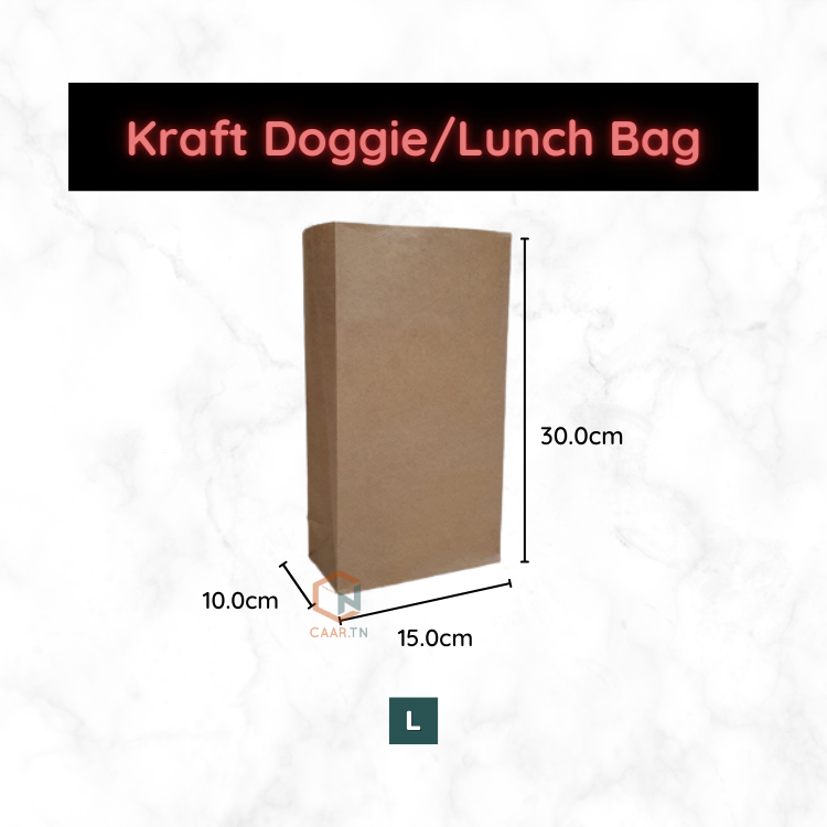 Kraft Brown Paper Lunch Bag - 100pcs/pkt-CAARTN