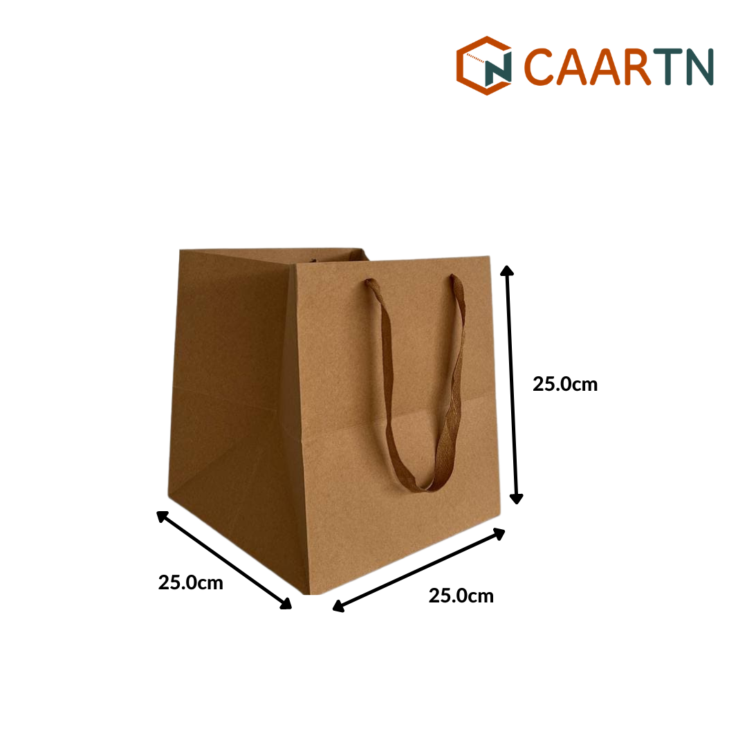 Kraft Paper Bag 25cm Square - 10pcs/pkt-CAARTN