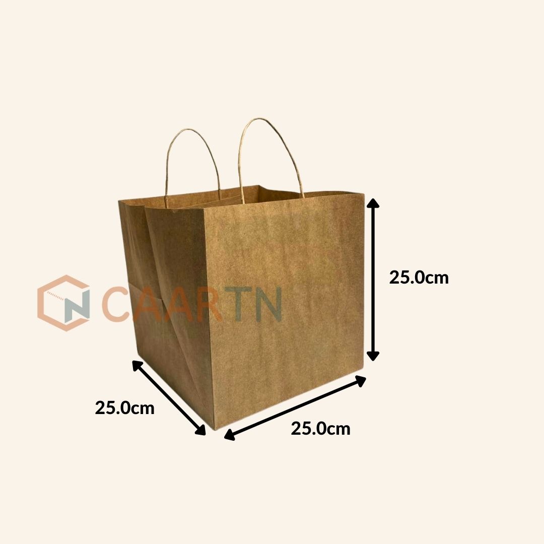 Kraft Paper Bag 25cm Square - 10 pcs/pkt-CAARTN