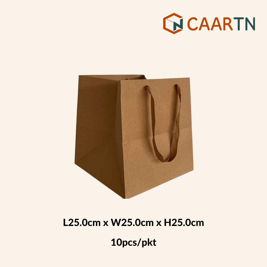 Kraft Paper Bag 25cm Square - 10pcs/pkt-CAARTN