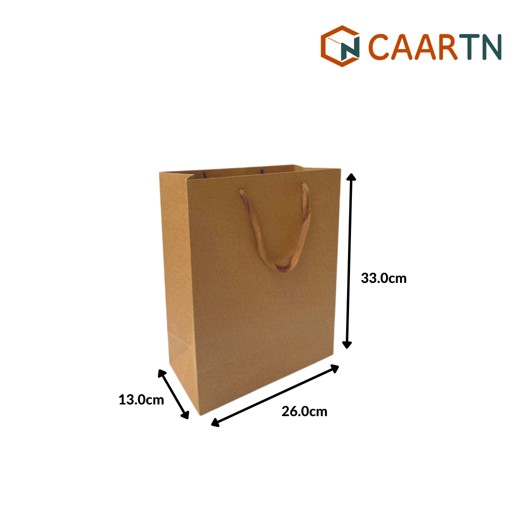 Kraft Rectangle Paper Bag Rec (M) - 10pcs/pkt-CAARTN