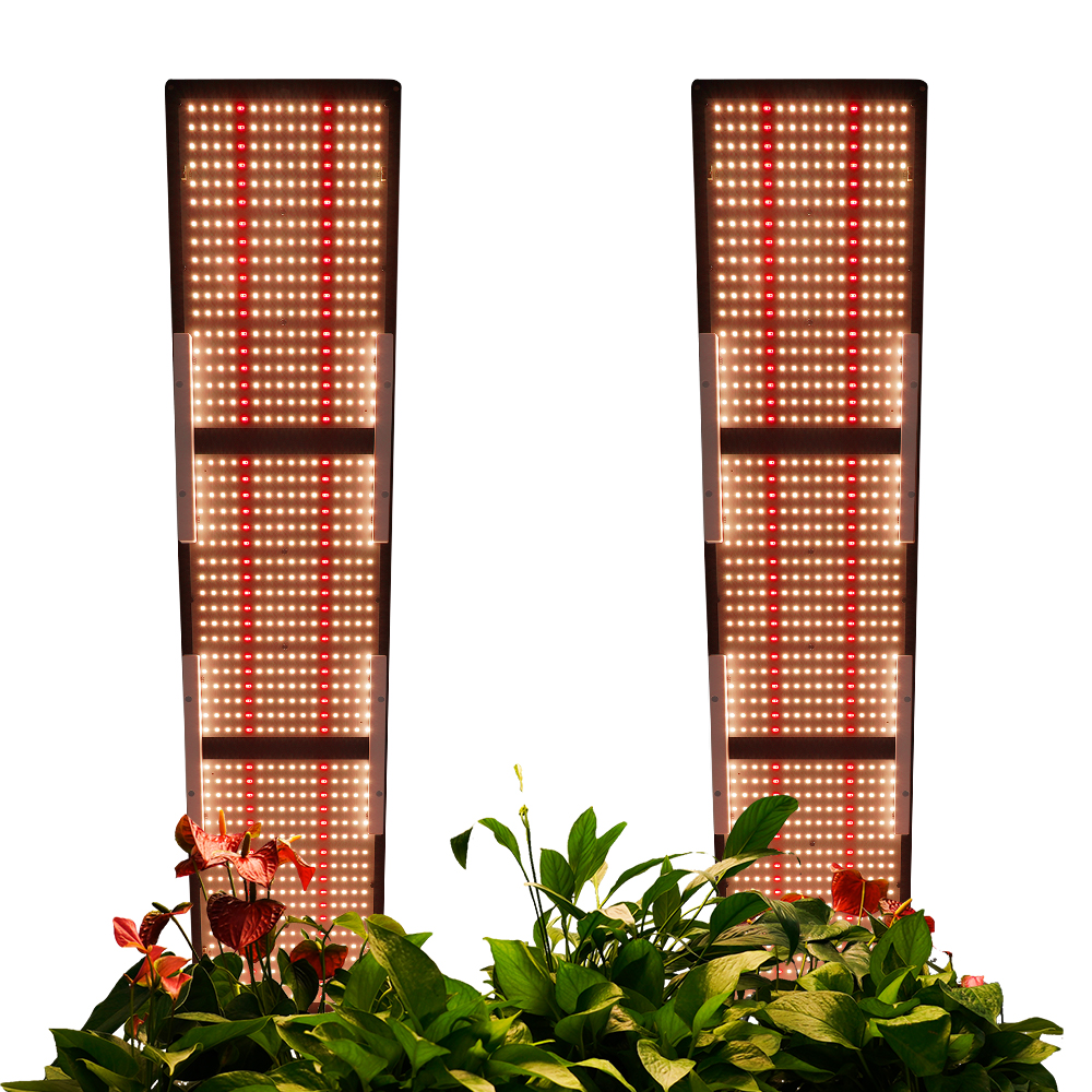 FOLUX-PLUS-V3-600H-6
