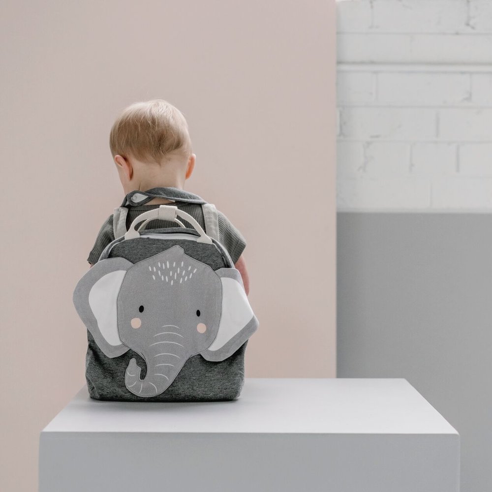 Animal Backpack Bags for Toddlers and Kids School Time