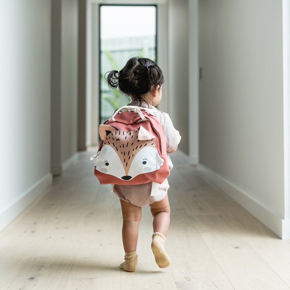 Animal Backpack Bags for Toddlers and Kids School Time