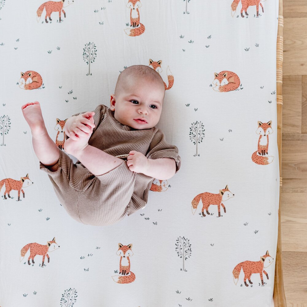 Mister Fly Jersey Cot Sheet for Comfortable Baby Cribs