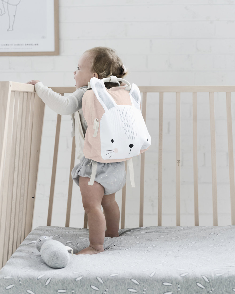 Animal Backpack Bags for Toddlers and Kids School Time