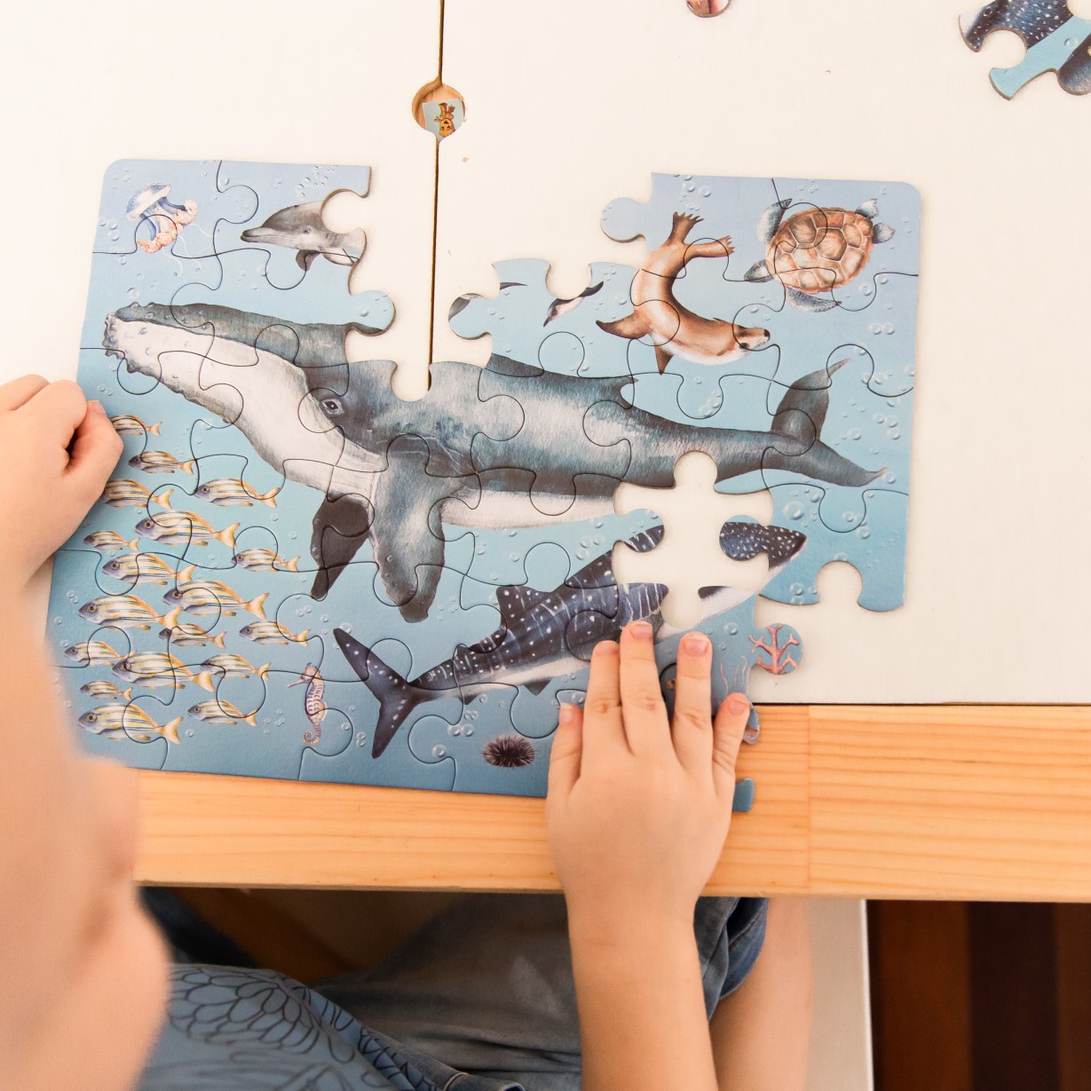 Ocean Take Me With You Puzzle for Toddlers and Kids Educational Activity