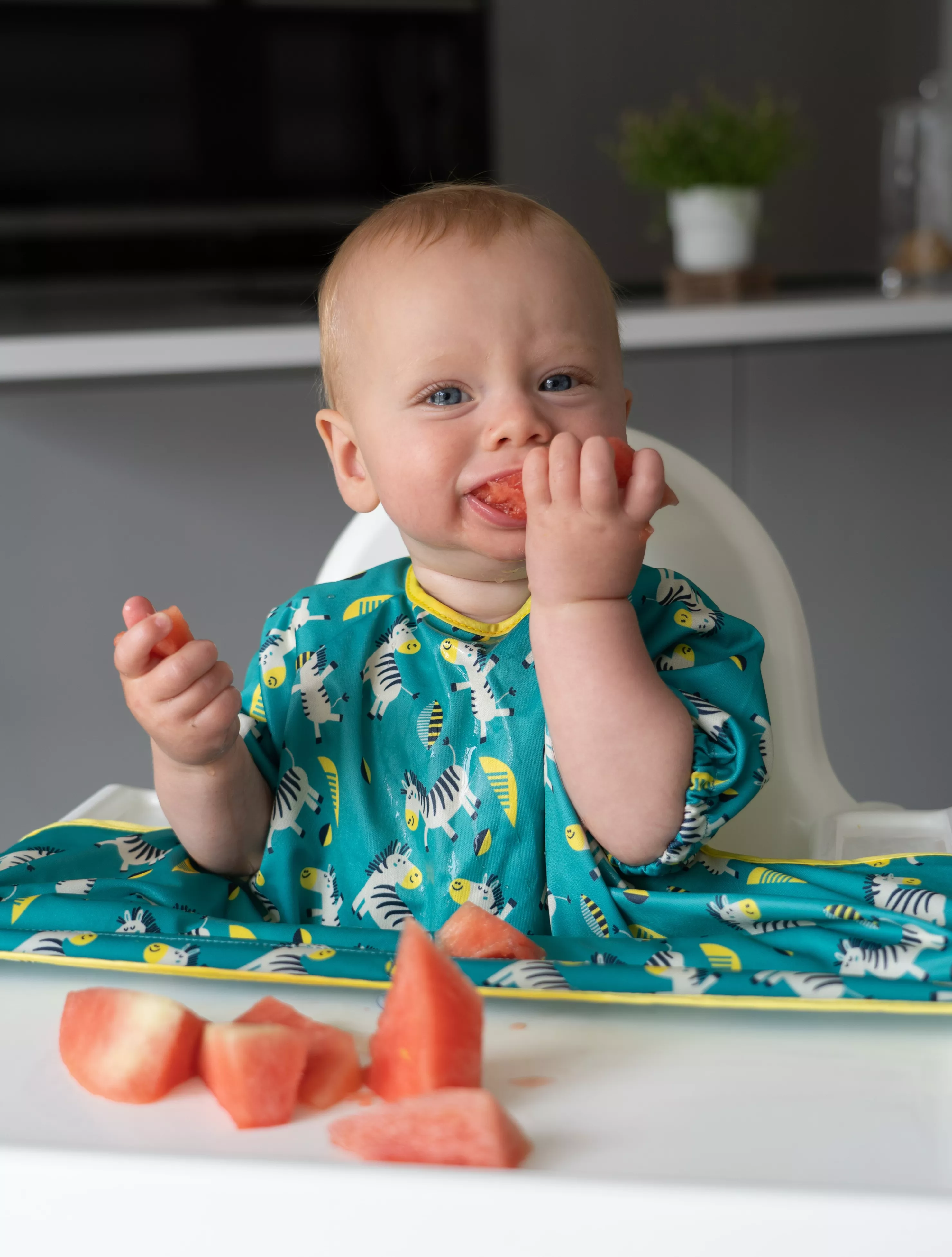Tidy Tot Cover and Catch Bib for Baby Self Feeding or Baby Led Weaning