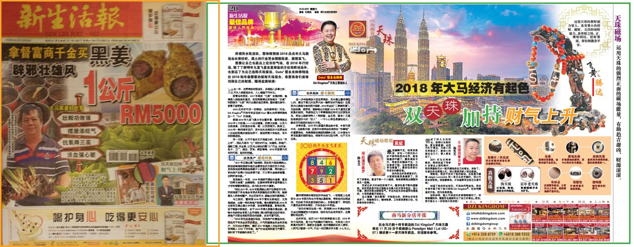 New Life Post &ndash; October 2017