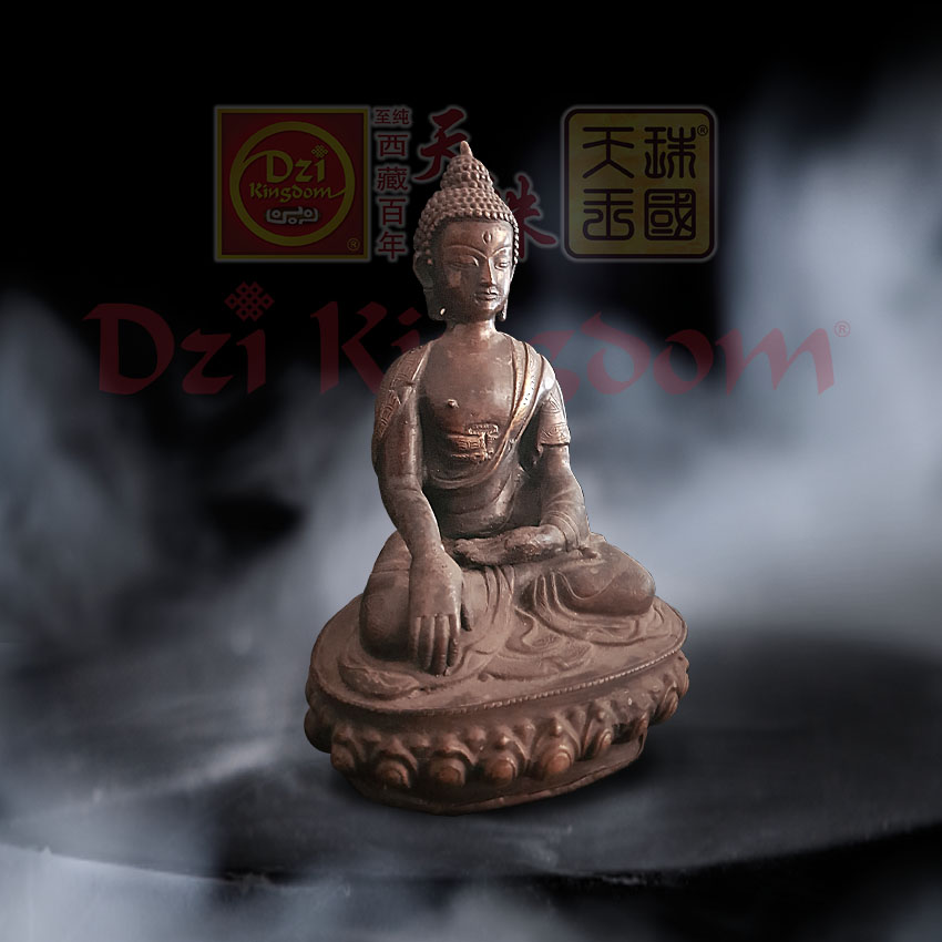Shakyamuni Buddha 释迦牟尼佛