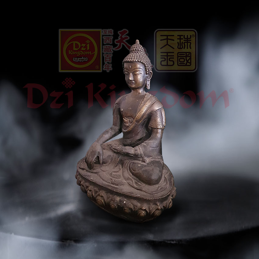 Shakyamuni Buddha 释迦牟尼佛