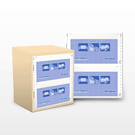 Pre-Printed 9.5" x 11" Mailer Form (Payslip) 3 PLY 2 UP - 500 Fans / Box (1000 Sets)