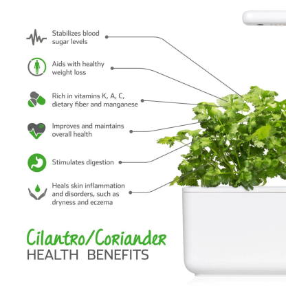 Coriander Plant Pods for Smart Garden