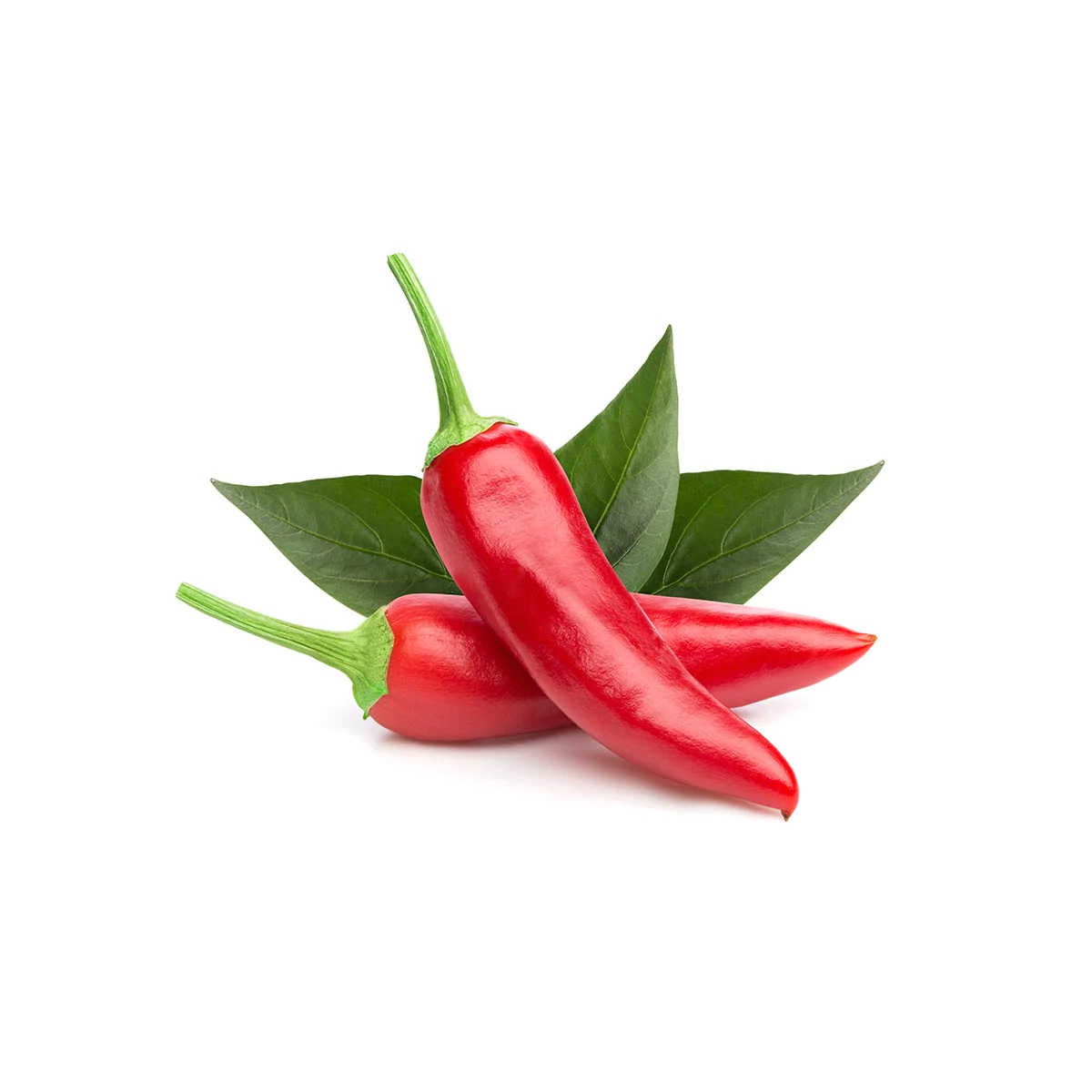 Chili Pepper Plant Pods for Smart Garden