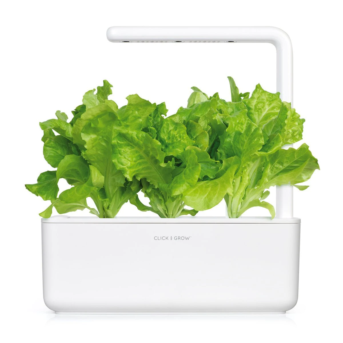 Green Lettuce Plant Pods for Smart Garden