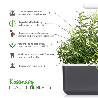 Rosemary Plant Pods for Smart Garden