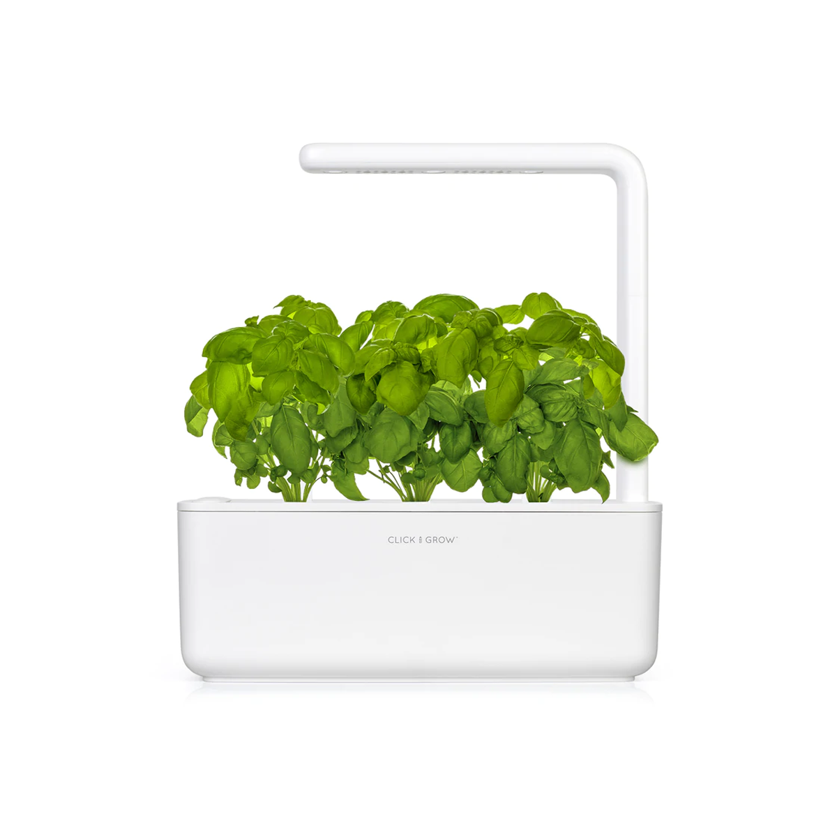Basil Plant Pods for Smart Garden