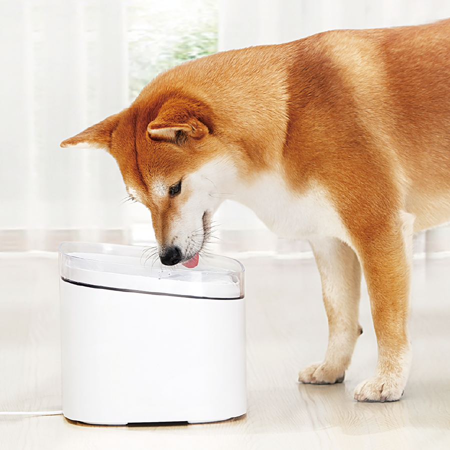 Xiaomi Smart Pet Fountain UK