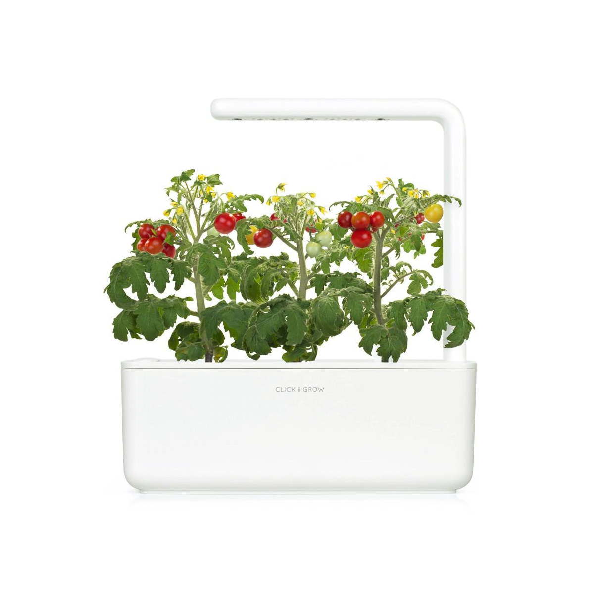Mini Tomato Plant Pods for Smart Garden