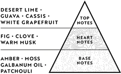 Jarrah Blossom Reed Diffuser 200ml