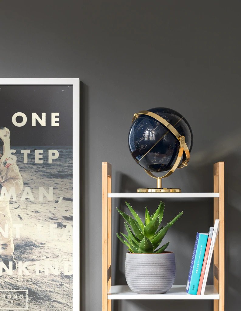 8Inch Night Sky Globe with Swivel Stand 