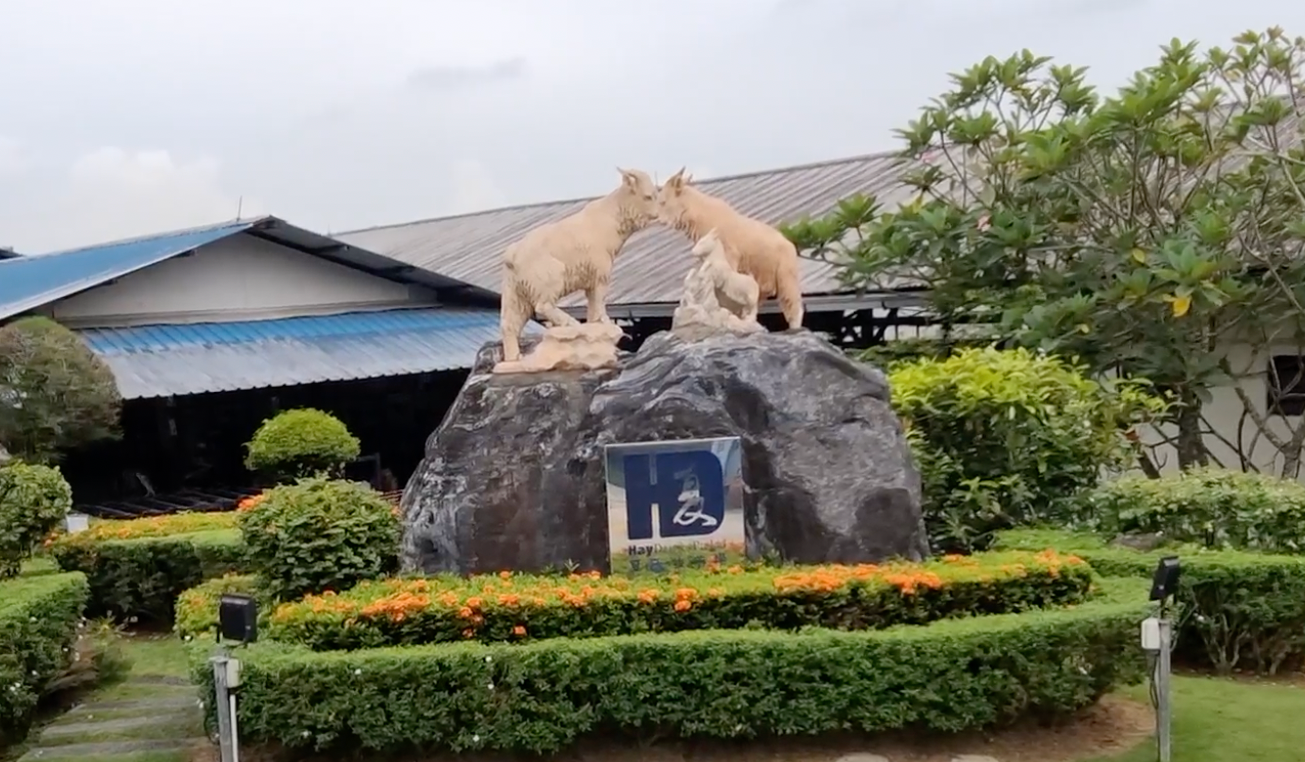 Inside Singapore’s Only Goat Farm