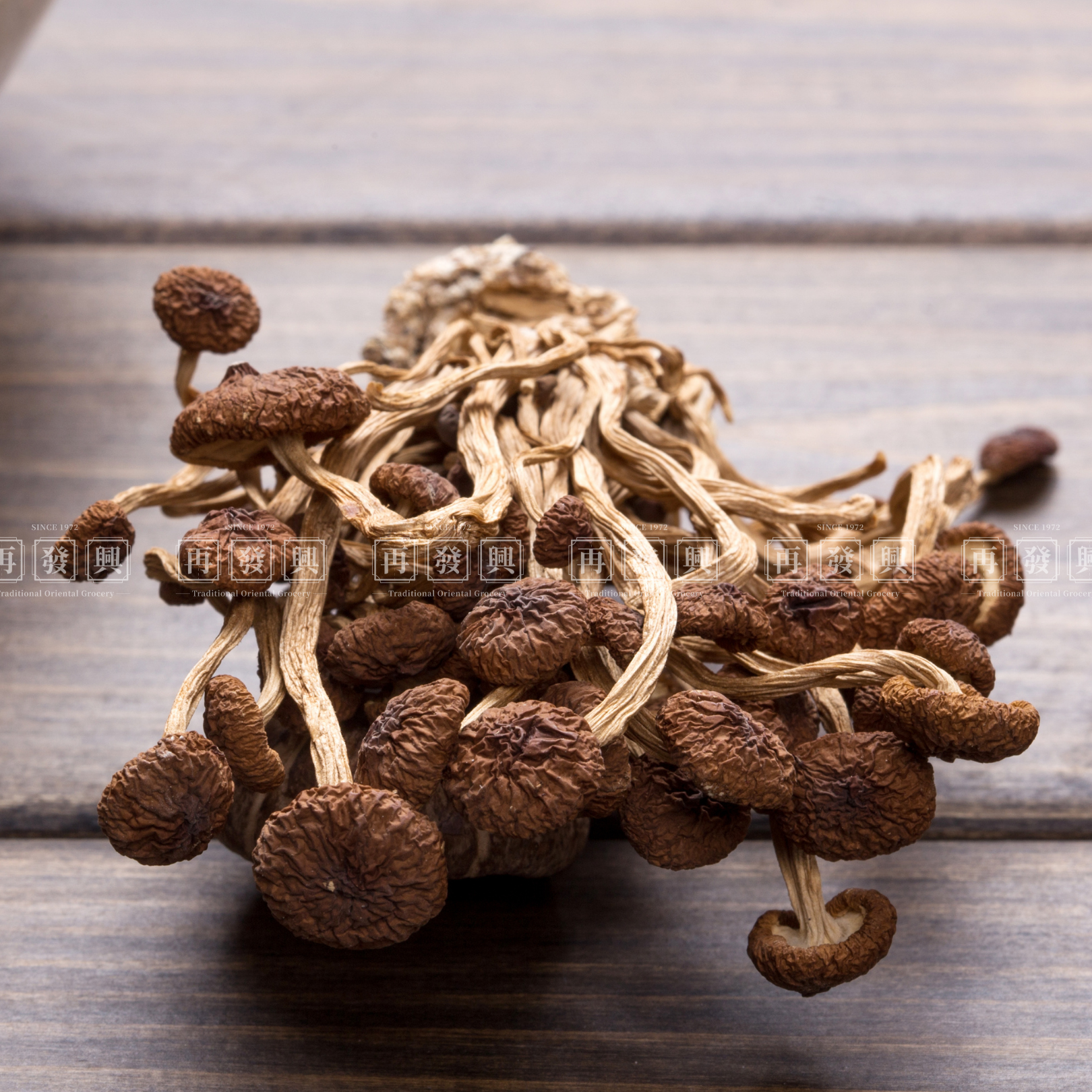 Dried Cha Shu Gu Mushroom