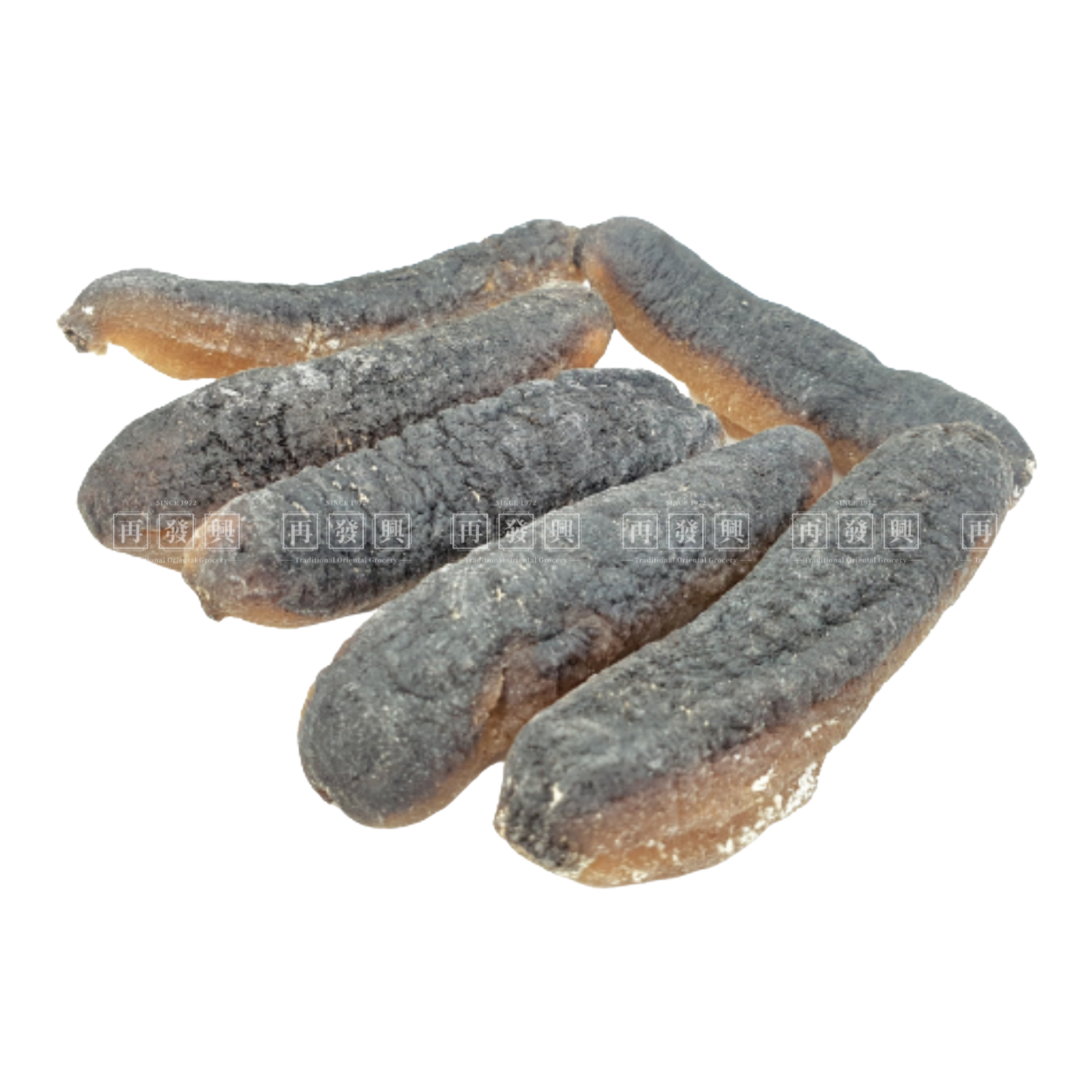 South Africa Golden Sea Cucumber 南非金干秃参 2pcs (195-205g)