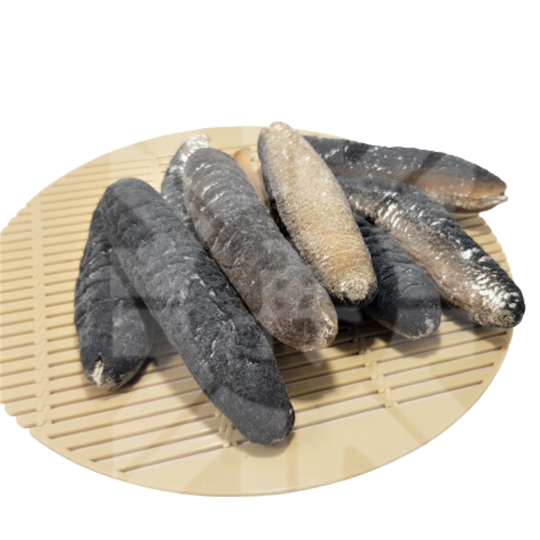 Maldives Dried Sea Cucumber 100g (3-4pcs)