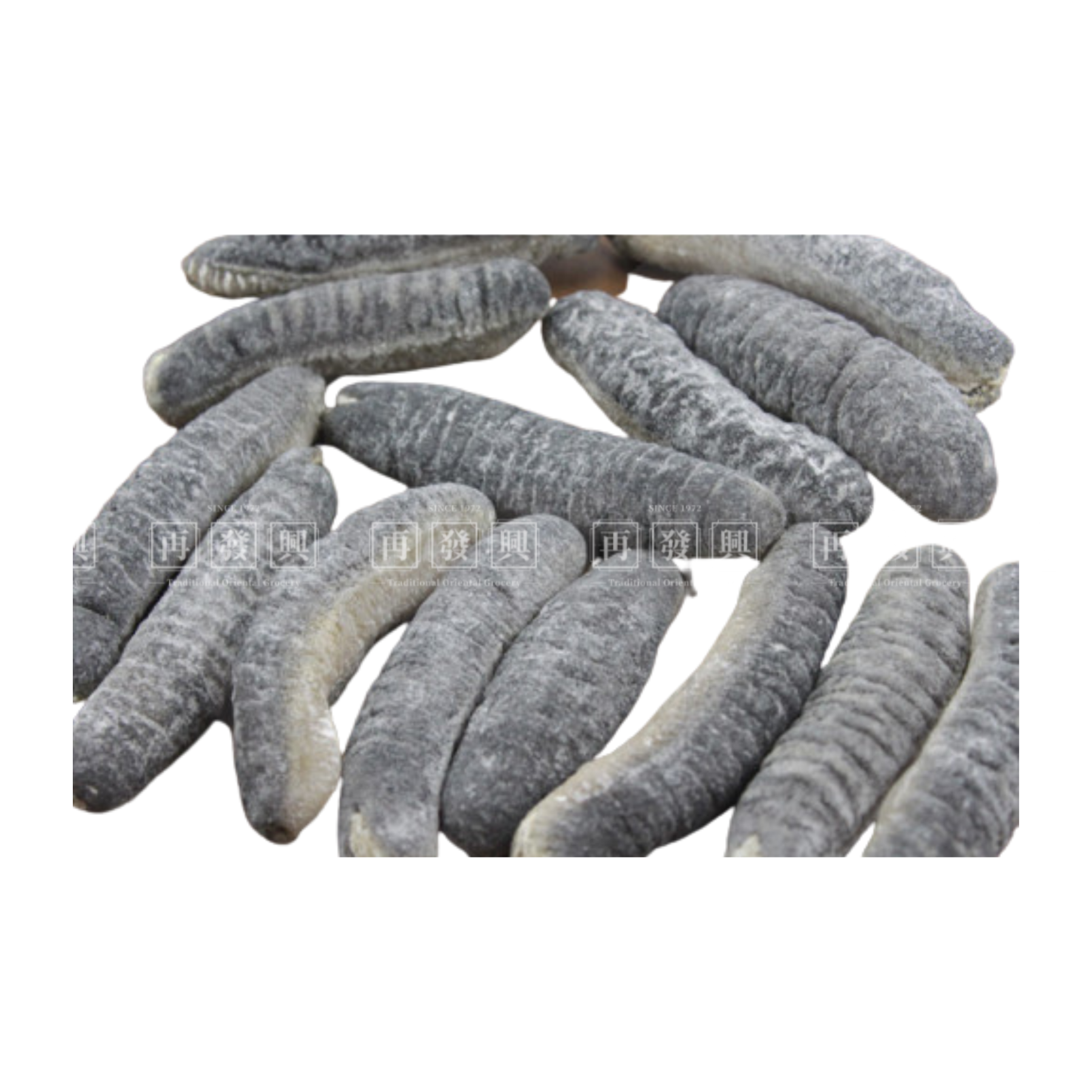 Maldives Dried Sea Cucumber 150g (5-7pcs)