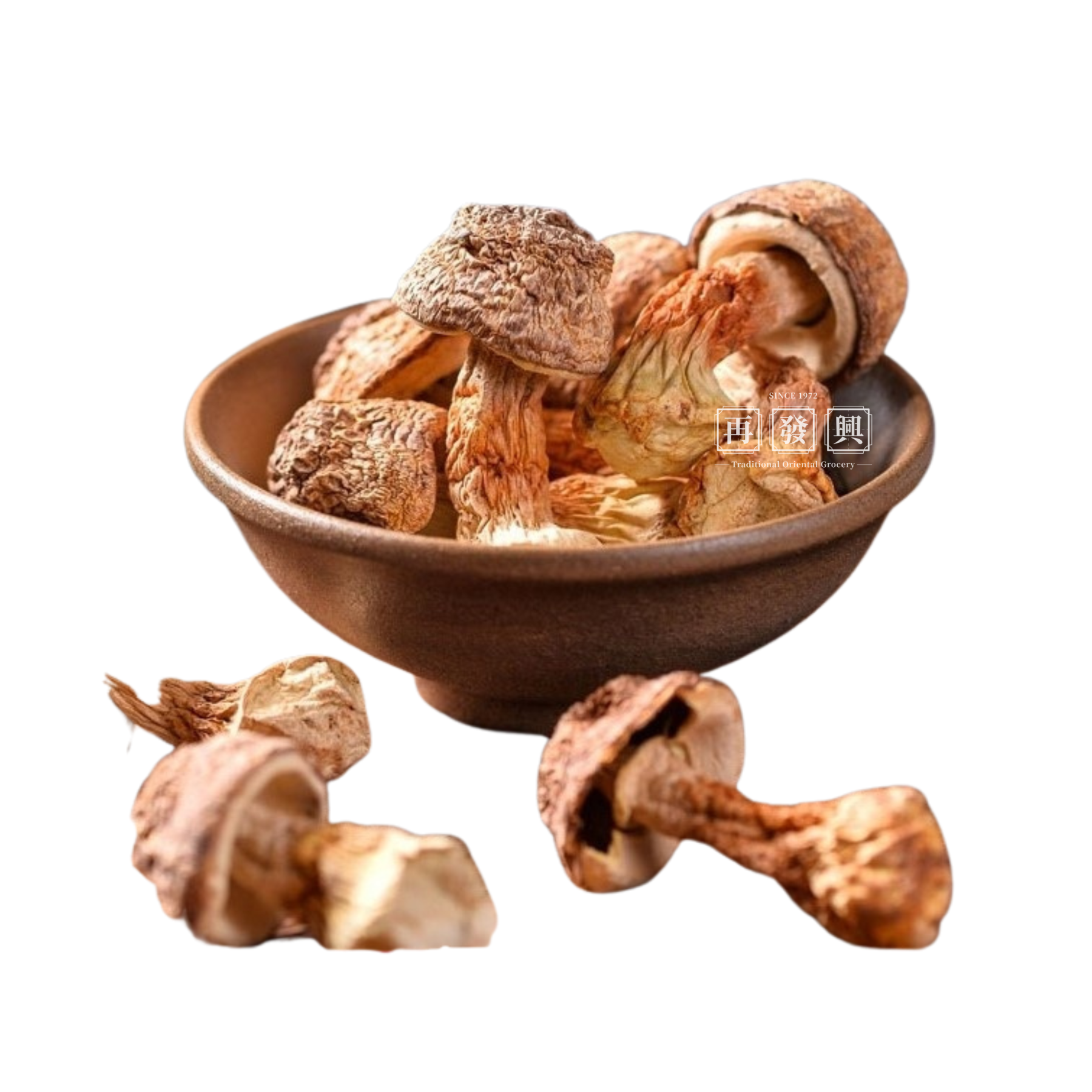 Brazil Mushroom Agaricus Blazei