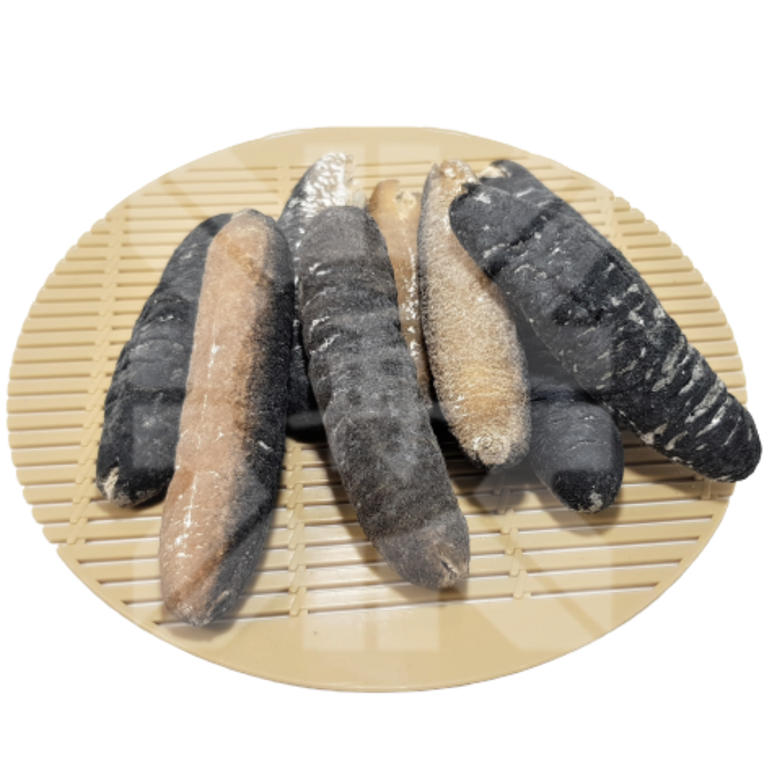 Maldives Dried Sea Cucumber 100g (3-4pcs)
