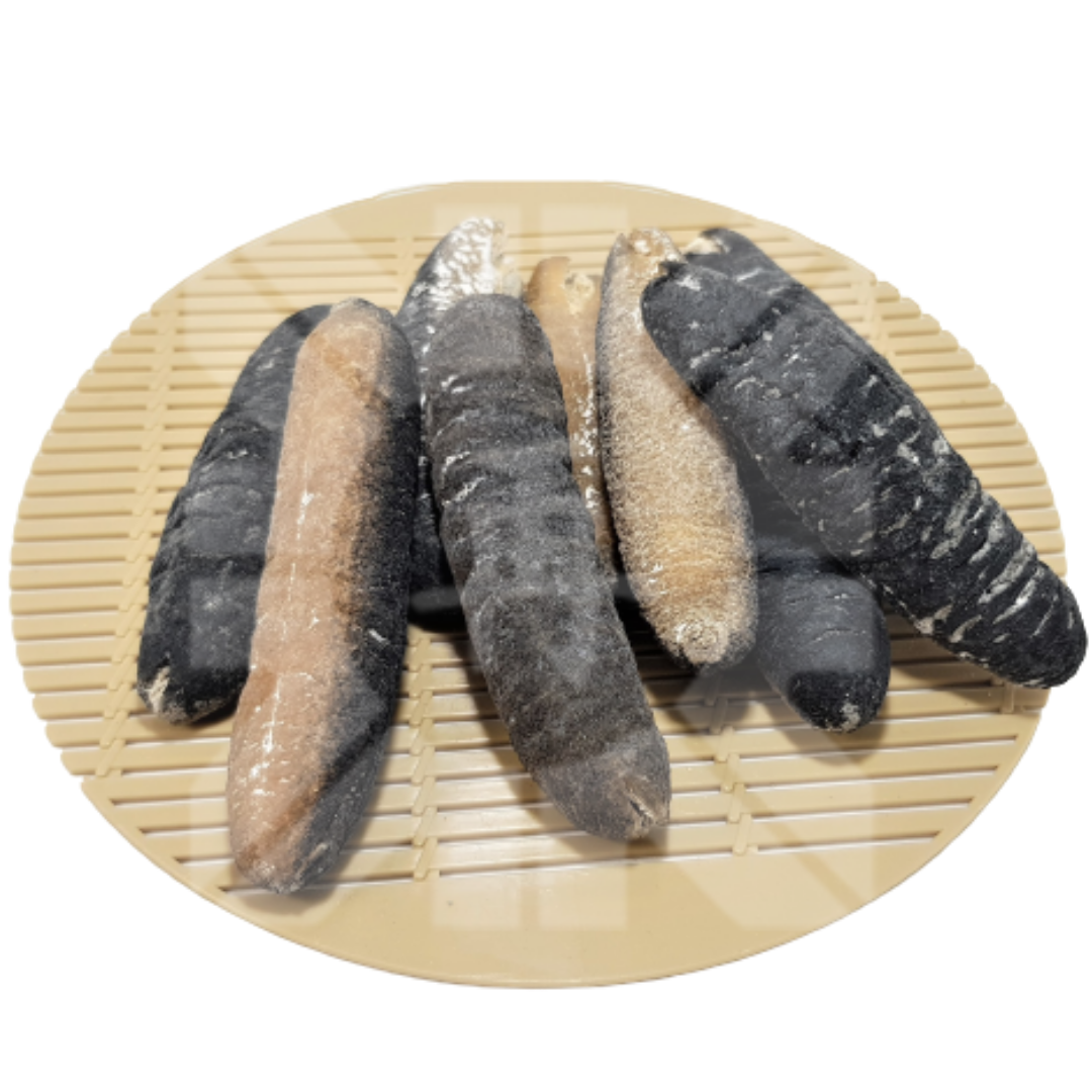 Fresh Litob og Batuli (Sea Cucumber) Seafoods