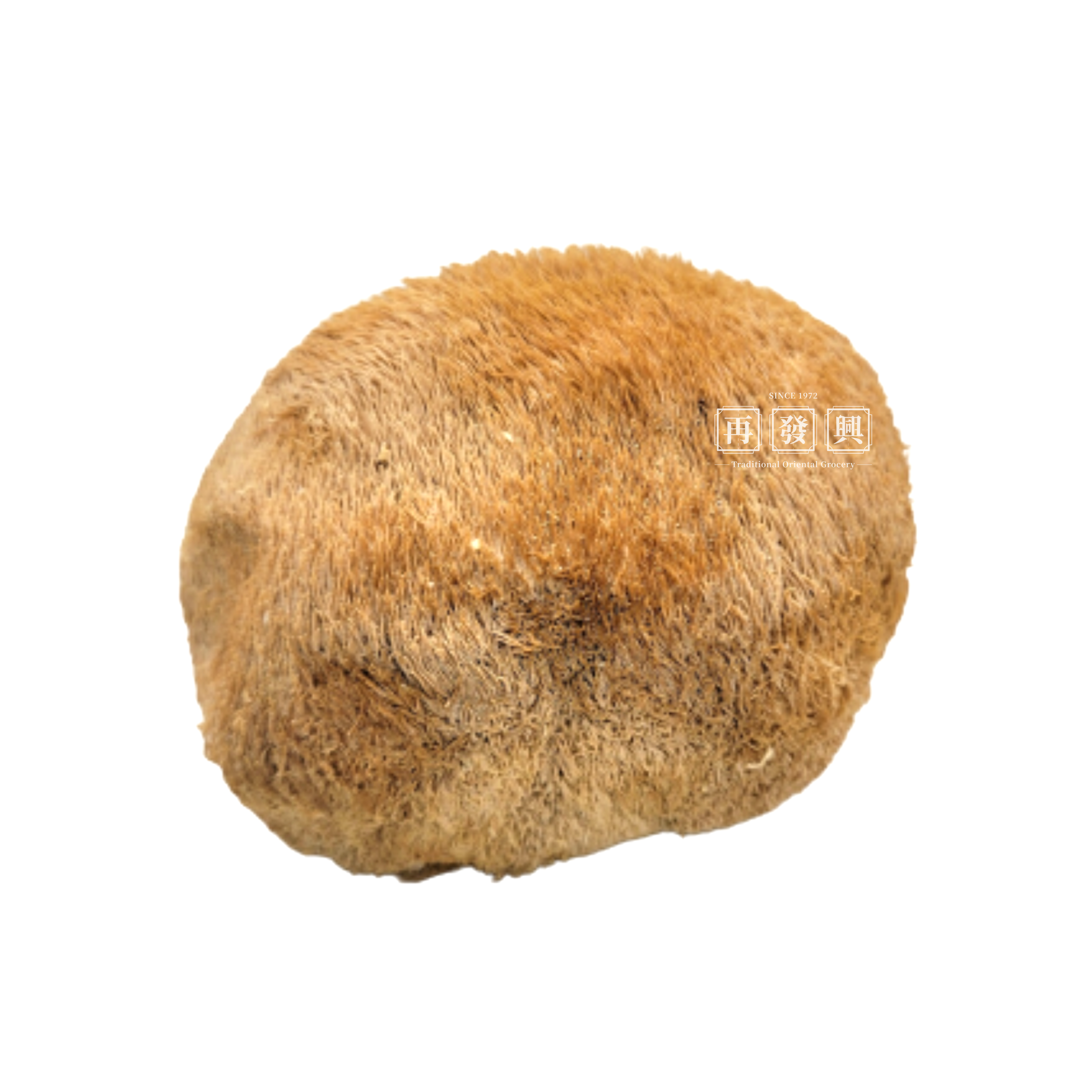 Lion Mane Mushroom 大头猴头菇 150g