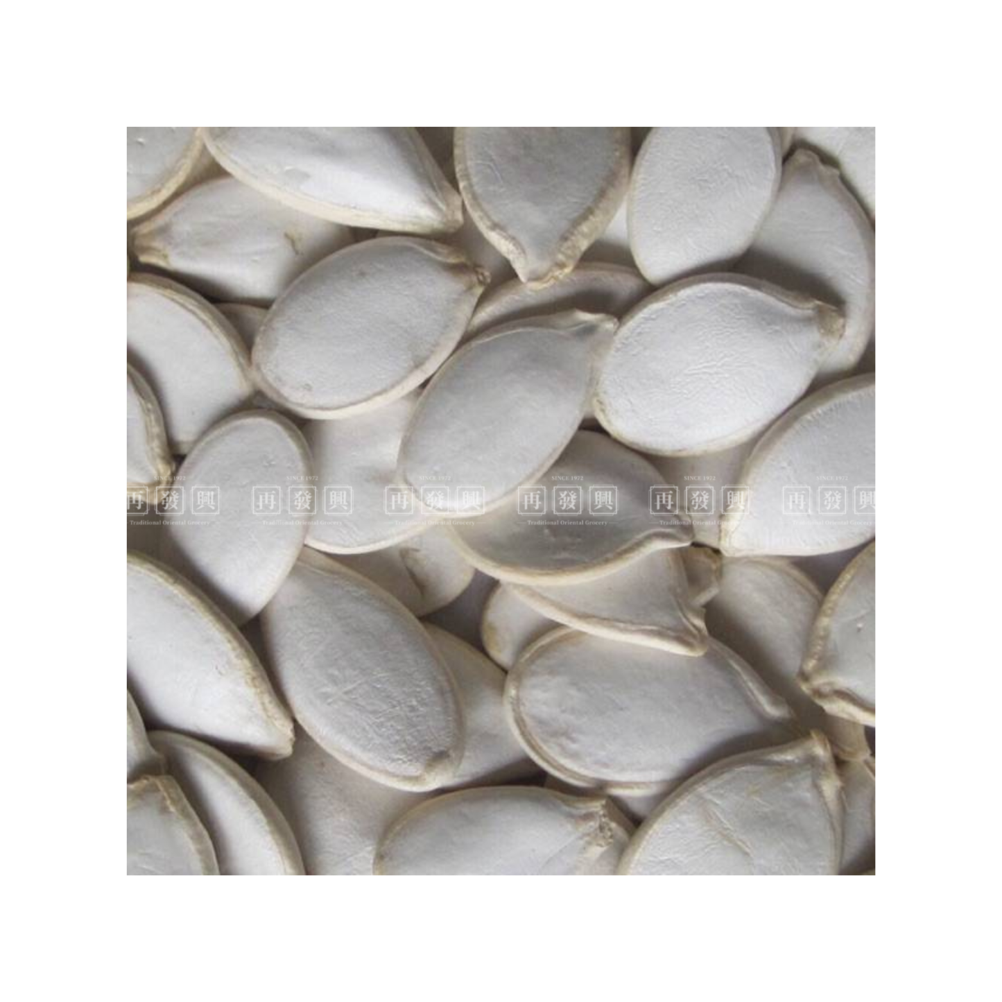 White Kuaci in Shell 400g