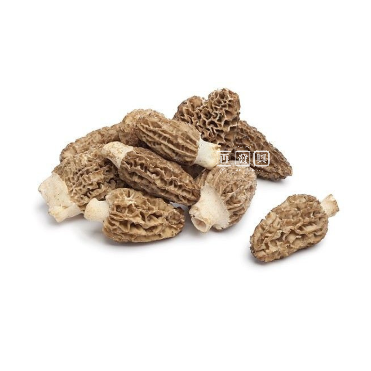 Wild Morel Mushroom