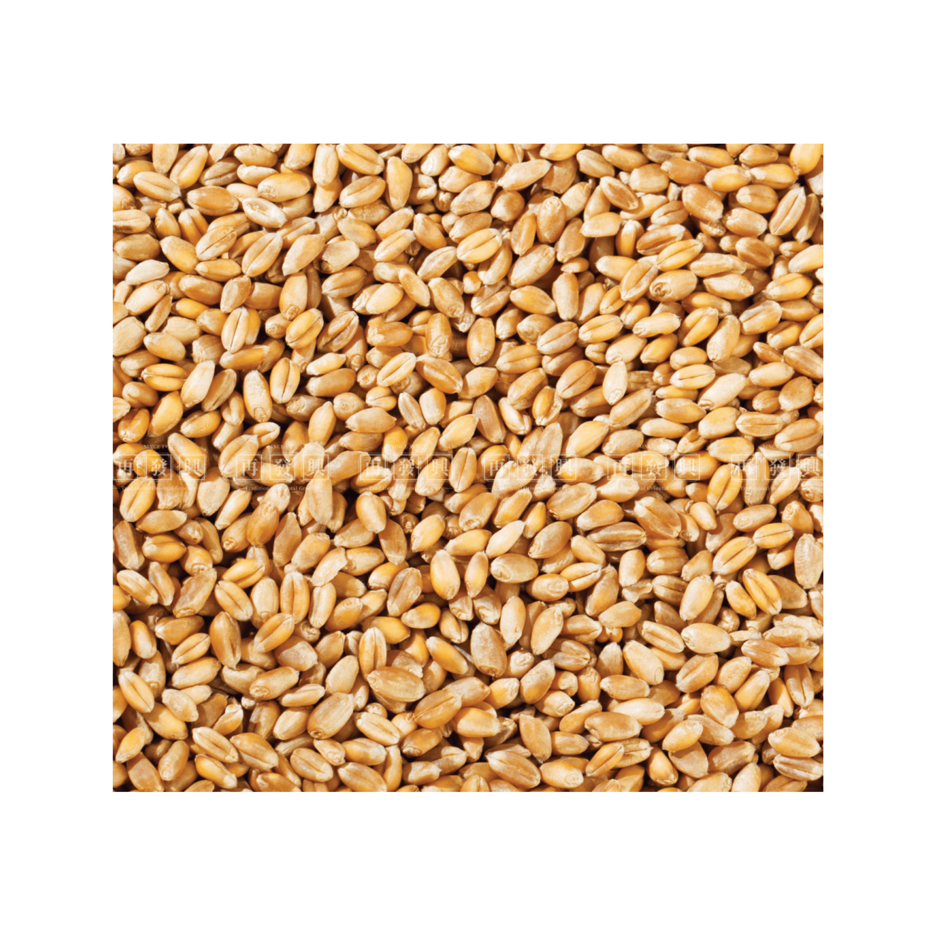 Raw Wheat Corn Polish AA 300g