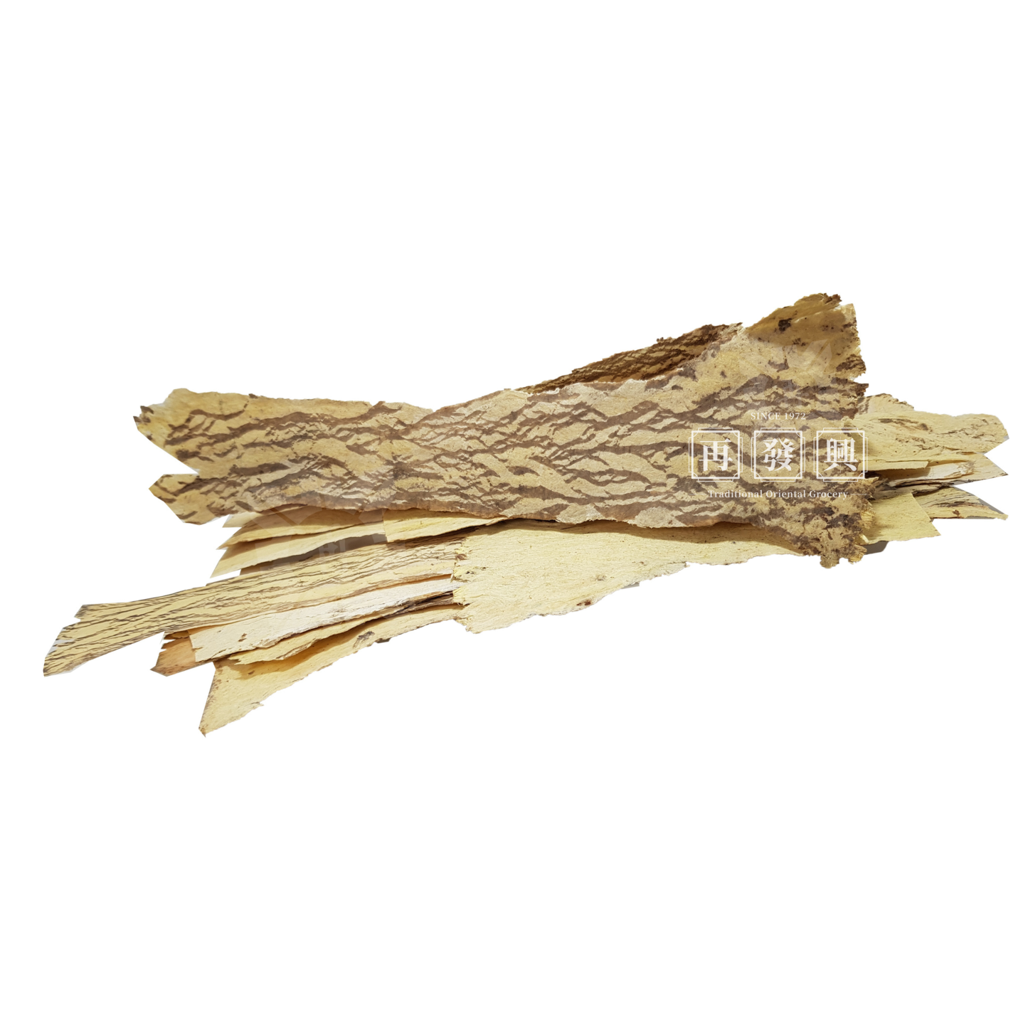 Astragalus
