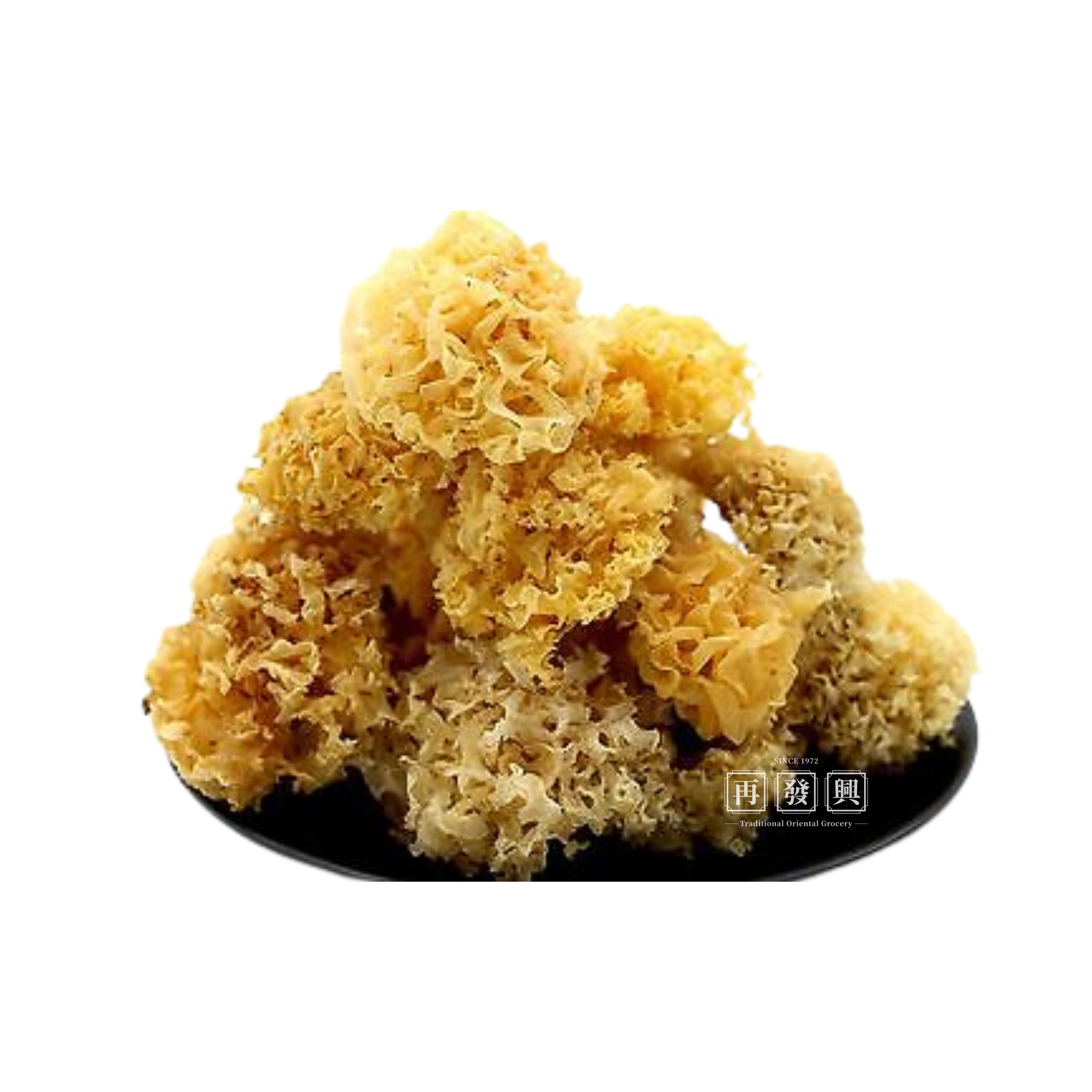 Zhang Zhou Premium White Fungus 100g