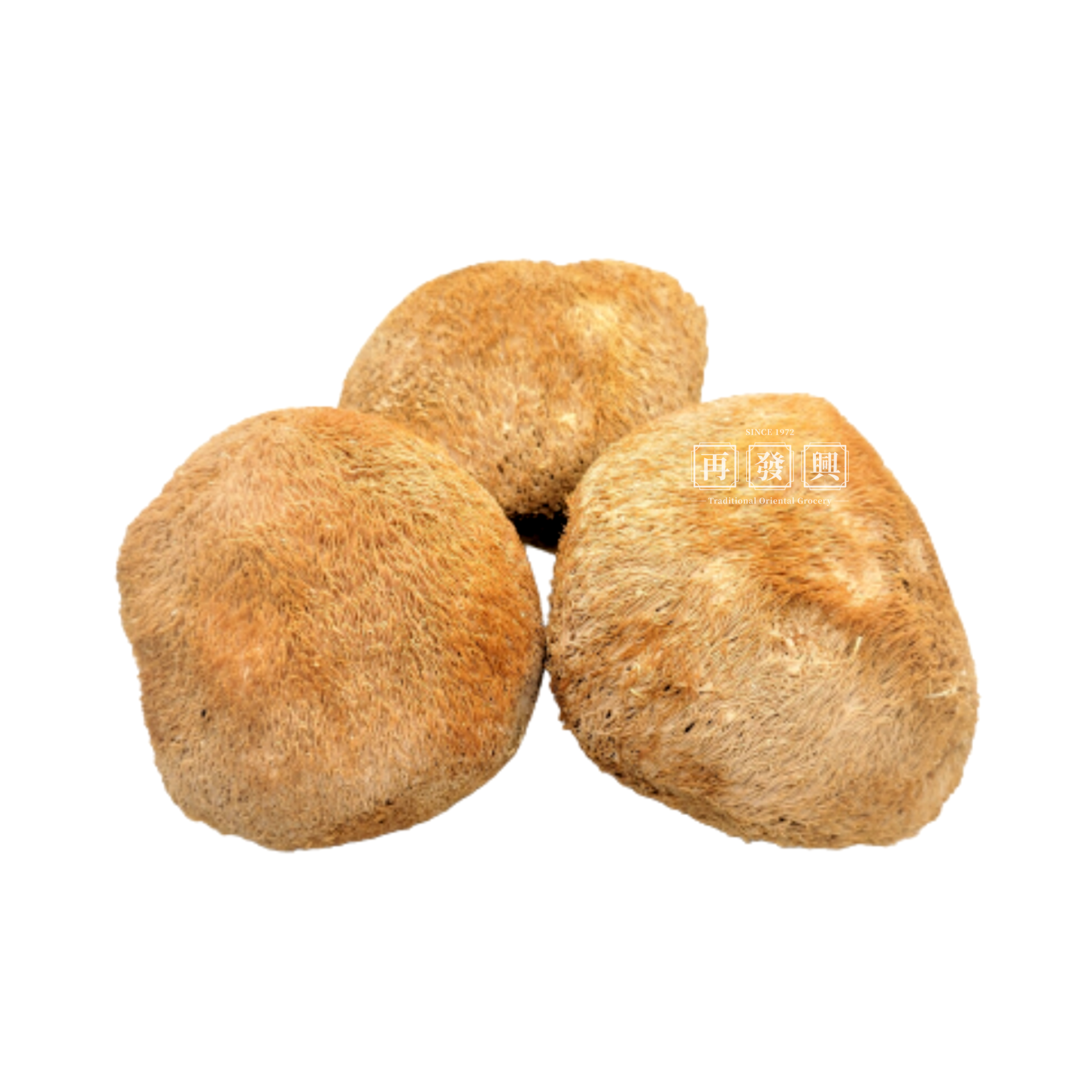 Lion Mane Mushroom 100g