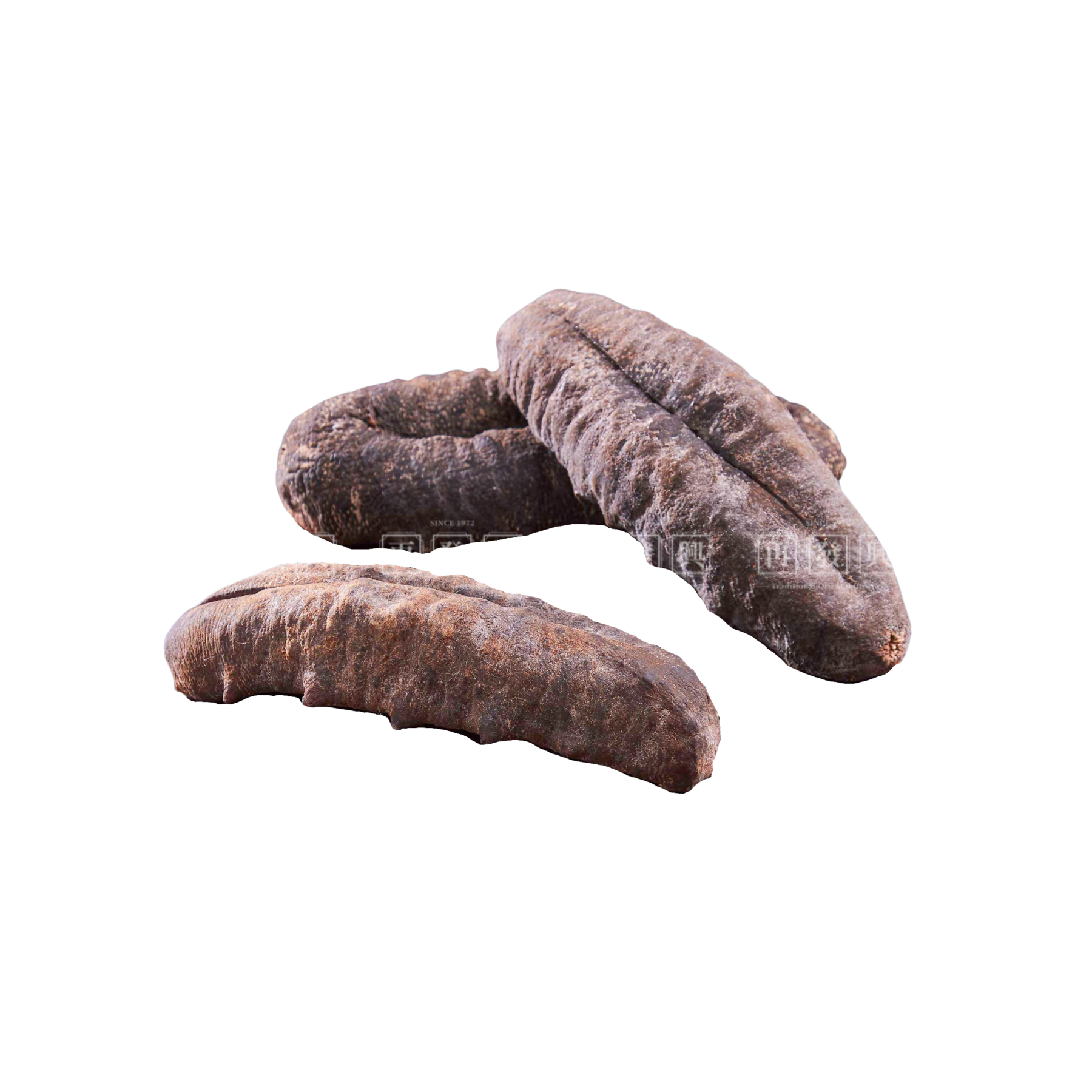 Australia Dried Sea Cucumber 1pc (235-245g)